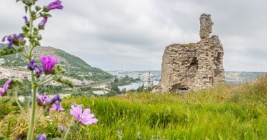 Авто-пешеходная экскурсия из Ялты (фото 5)