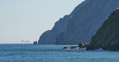 Авто-пешеходная экскурсия из Симеиза (фото 10)