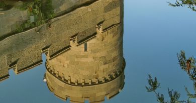 Авто-пешеходная экскурсия из Симеиза (фото 16)