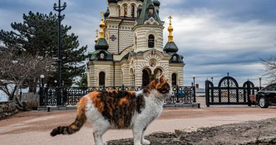 Экскурсия из Ялты: Джип-тур: Ай-Петри, Большой Каньон, Пещерный город фото 8670