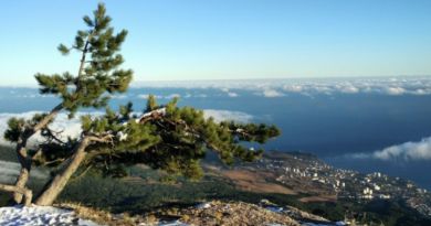 Экскурсии в Ялте по Крыму 2019, цены и описание Экскурсии в Ялте по Крыму 2019, цены и описание