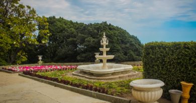 Экскурсия Алупка. Дворец графа М.С. Воронцова-Ласточкино гнездо фото 7549 Экскурсия Алупка. Дворец графа М.С. Воронцова-Ласточкино гнездо фото 7549