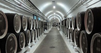 Дегустация на винодельческом комбинате «Массандра» Дегустация на винодельческом комбинате «Массандра»
