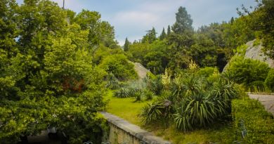 Авто-пешеходная экскурсия из Алушты (фото 32)