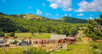 Экскурсия ТОП-5. К вершине Ай Петри (Канатная дорога+спуск на авто) фото 6132 Экскурсия ТОП-5. К вершине Ай Петри (Канатная дорога+спуск на авто) фото 6132