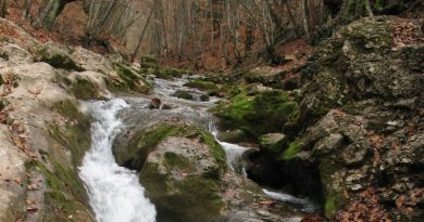 Экскурсия Большой каньон фото 5702 Экскурсия Большой каньон фото 5702