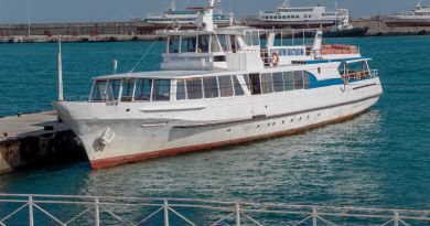 Экскурсия из Ялты: Морская прогулка к замку Ласточкино гнездо (без вы фото 14277